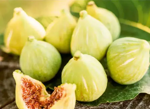 خرید و قیمت انجیر آفریقایی + فروش عمده